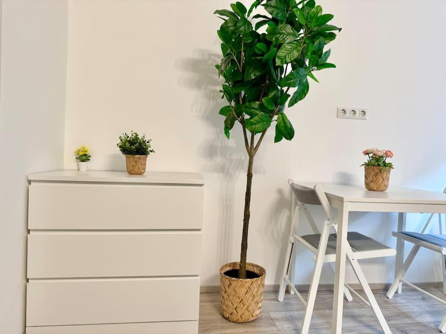 Stylish Schoenbrunn Apartments - Free Underground Parking Viena Exterior foto